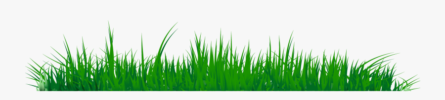Grass Clipart Png Image 07 - Grass Clipart Png, Transparent Clipart