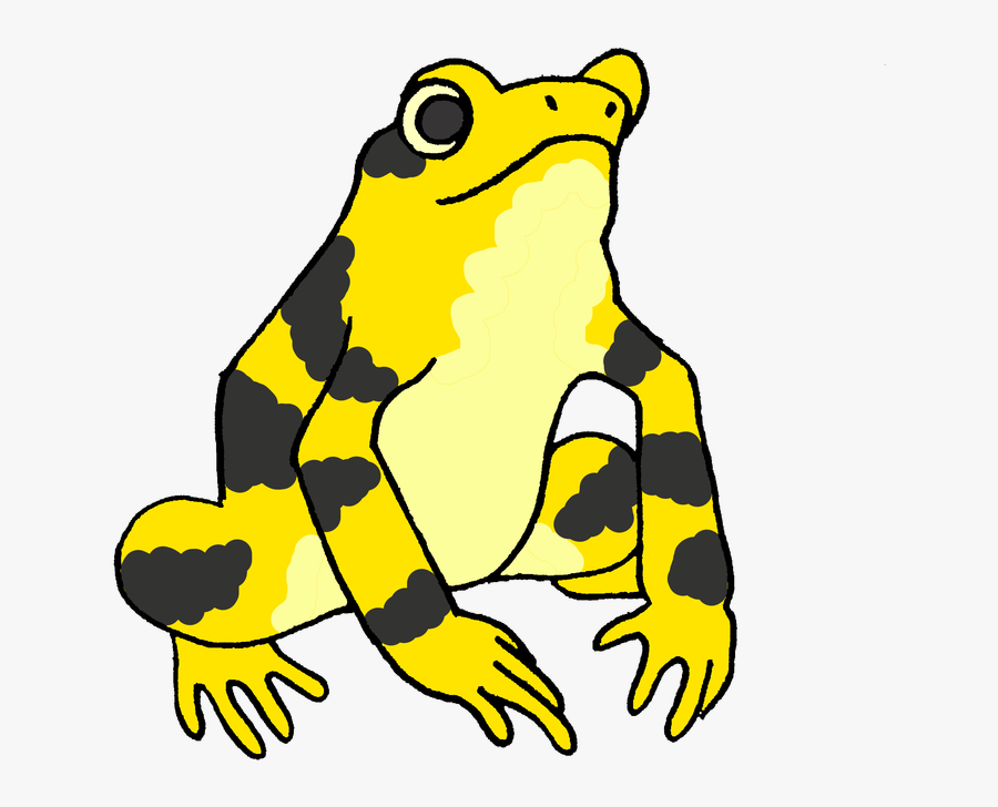 Frogs Clipart Amphibian - Panamanian Golden Frog Cartoon, Transparent Clipart
