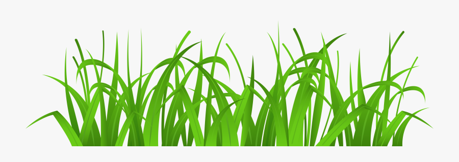 Grass Cover Png Clip Art - Clip Art Grass Png, Transparent Clipart