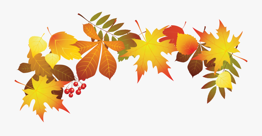 Autumn Leaf Color Clip Art - Fall Leaves Clip Art Transparent Background, Transparent Clipart