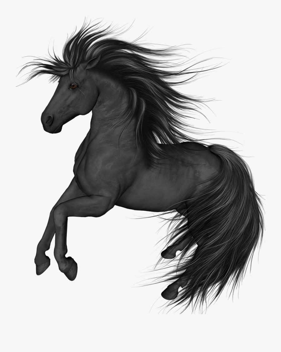 Black Horse Png Clip Art - Transparent Black Horse Png, Transparent Clipart