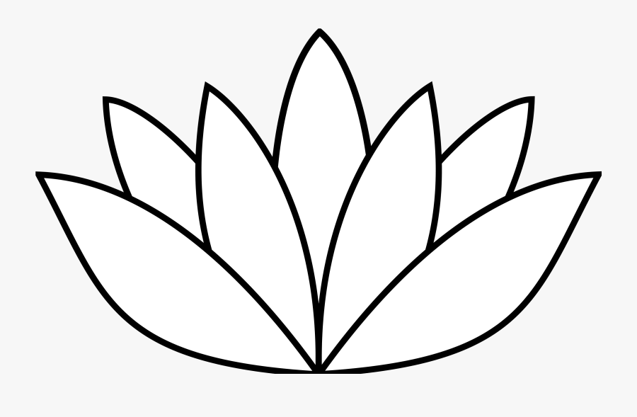 White Lotus Flower Svg - Lotus Flower Drawing Simple, Transparent Clipart