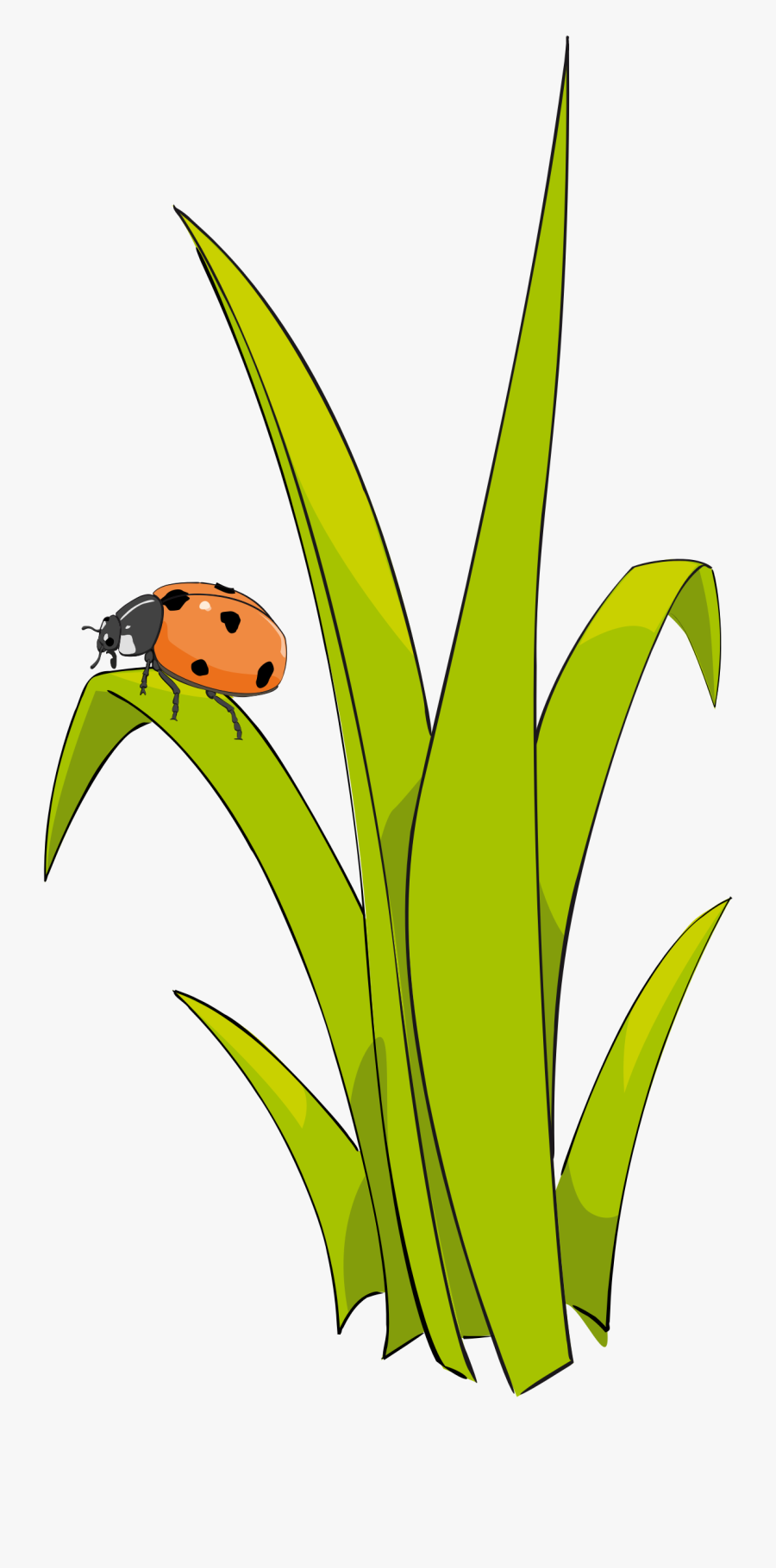 Grass Clip Art Free Clipart Images - Portable Network Graphics, Transparent Clipart