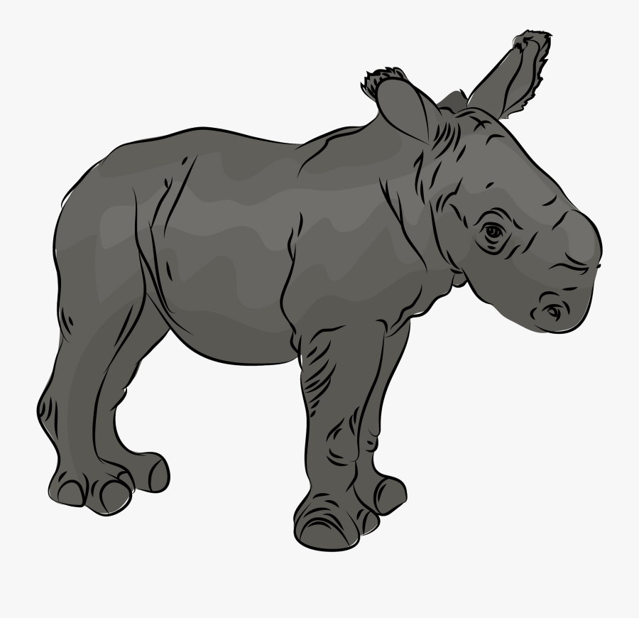 Indian Rhinoceros, Transparent Clipart