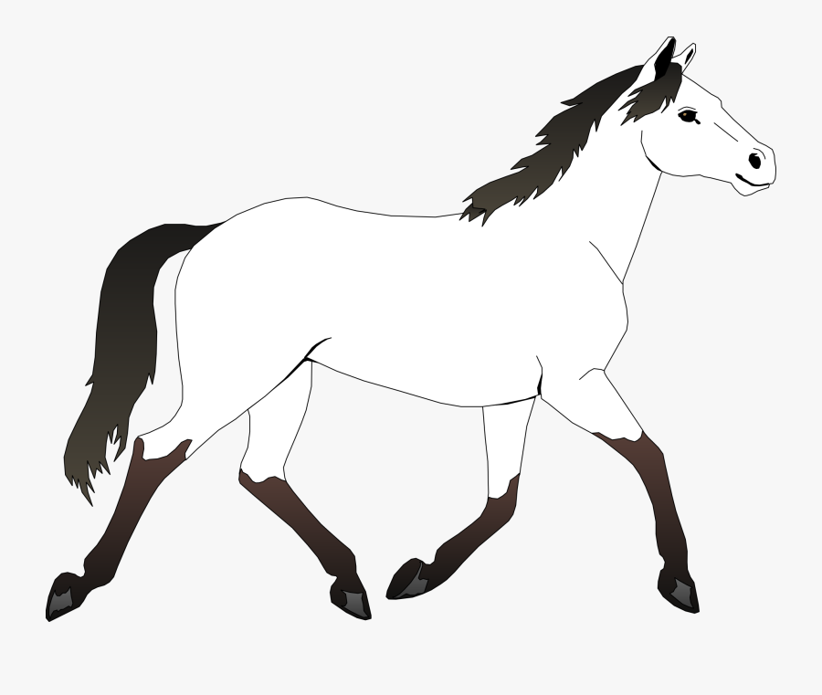 Horse Black White Line Art Coloring Sheet Colouring - Horse White And Black, Transparent Clipart
