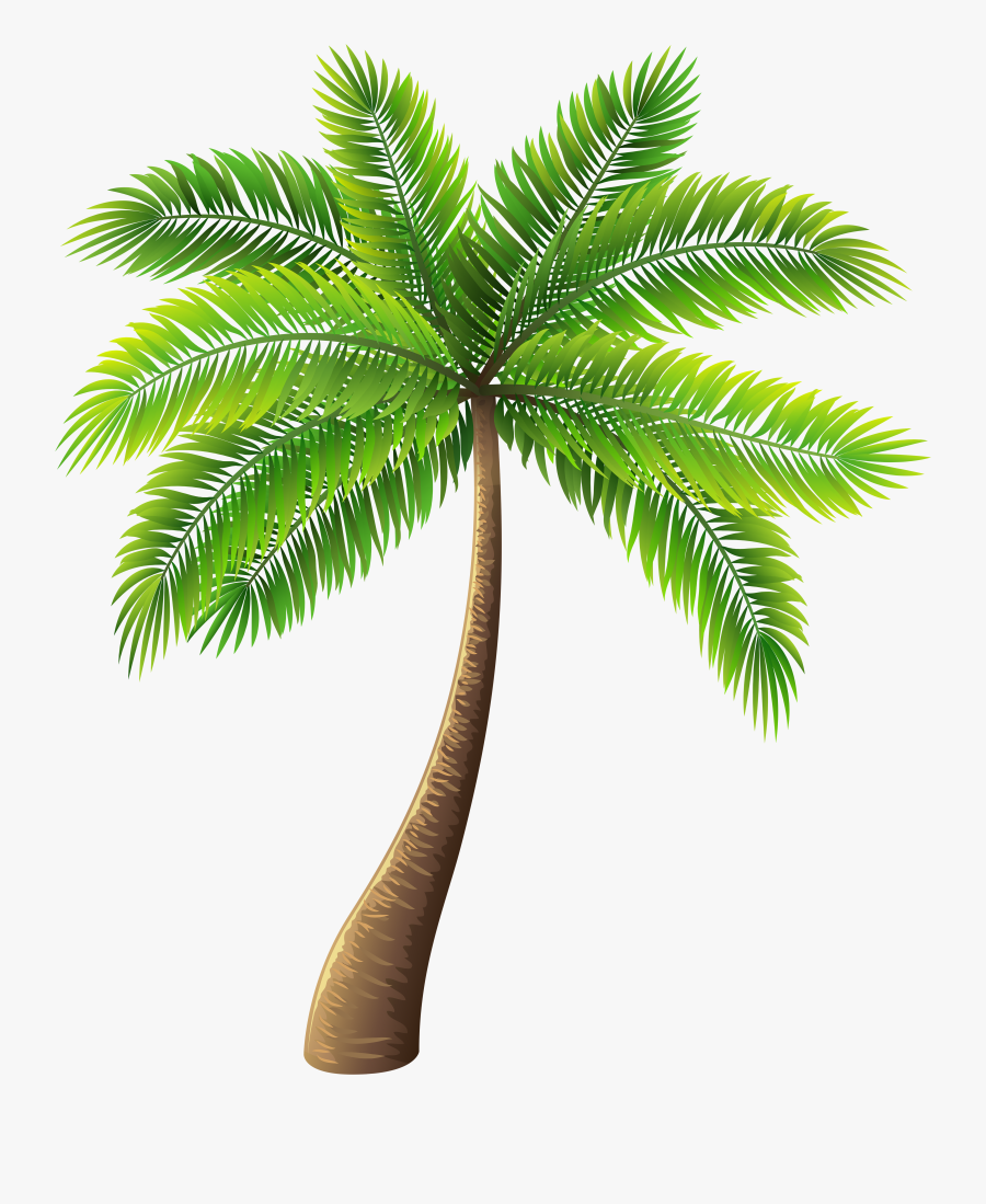 Tree Clipart Palm - Transparent Background Palm Tree Cartoon, Transparent Clipart