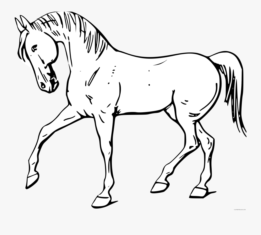 Horse Clipart Image Horse Clip Art Pictures - Horse In Black And White, Transparent Clipart