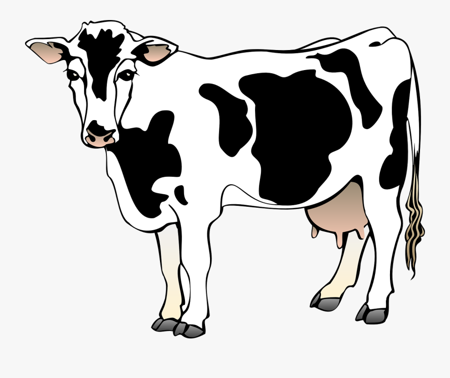 Cow Clipart, Transparent Clipart