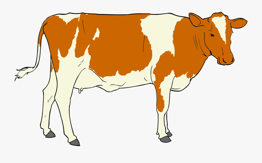 Cow Clip Art, Transparent Clipart