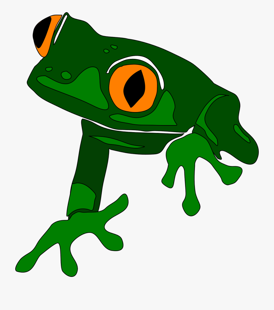 Cute Frog Clipart - Clipart Red Eyed Tree Frog, Transparent Clipart