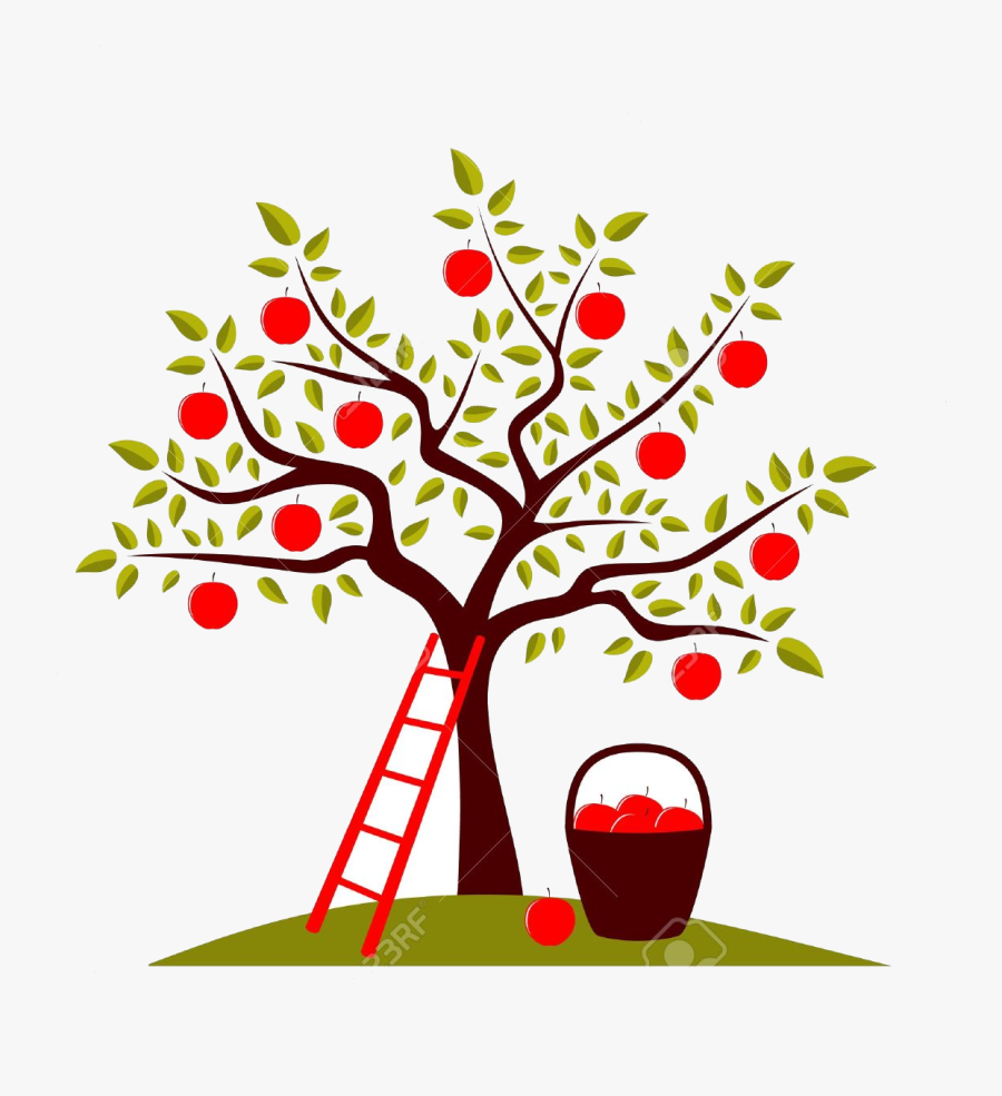 Apple Tree Clipart Free On Transparent Png - Apple Tree Illustration, Transparent Clipart