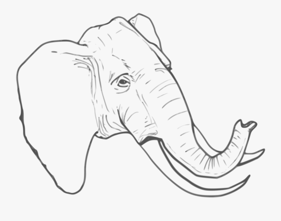 Line Art Elephant, Transparent Clipart