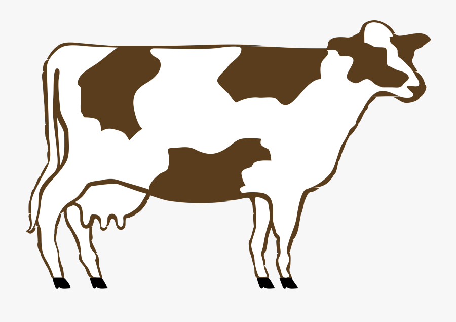 Brown And White Cow - Cow Clip Art, Transparent Clipart