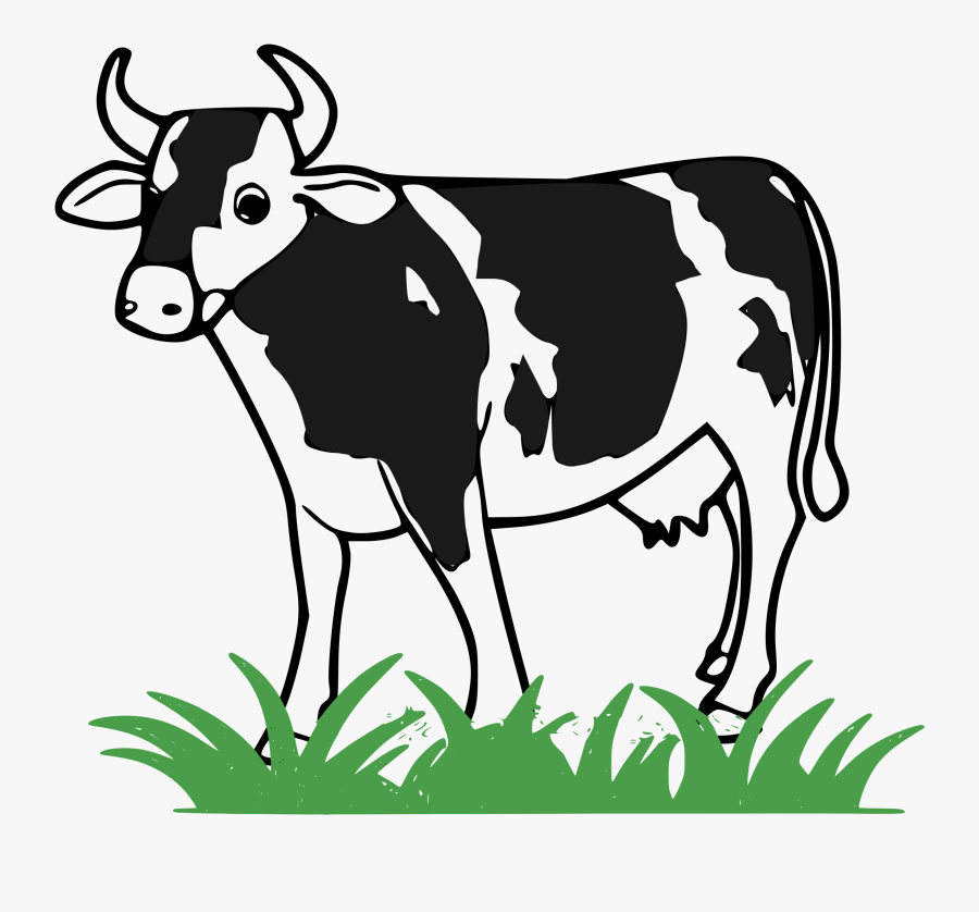 Cattle Clipart Moo Cow - Cow Png Clipart, Transparent Clipart