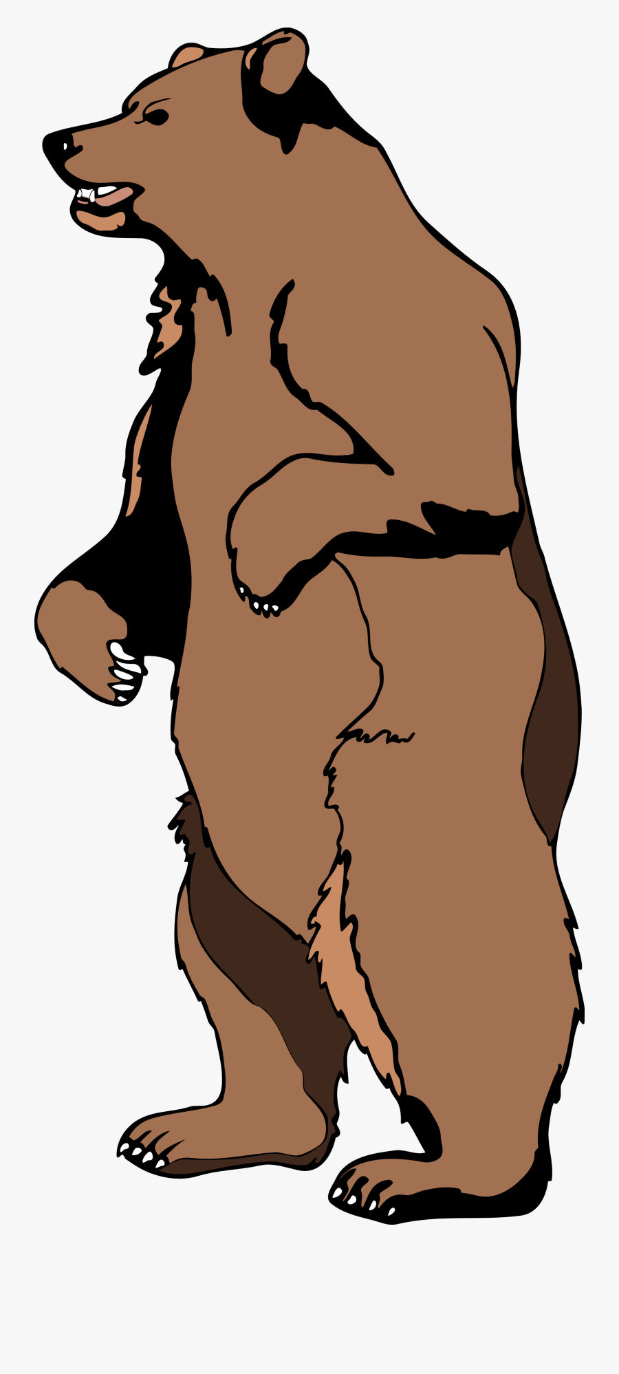 Standing Bear Clipart Free Images - Cartoon Bear Standing Up, Transparent Clipart