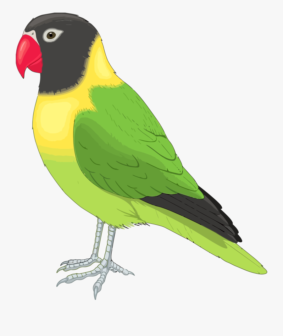 Realistic Bird Clipart, Transparent Clipart