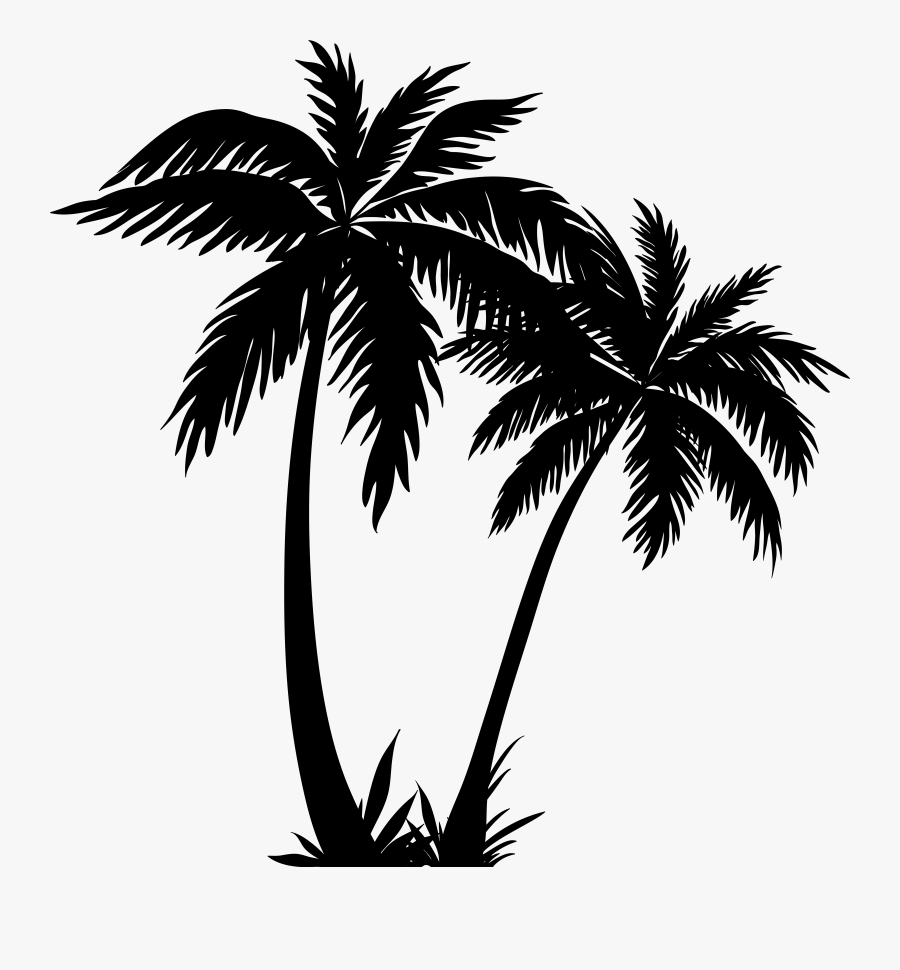 Palm Tree Clip Art, Transparent Clipart