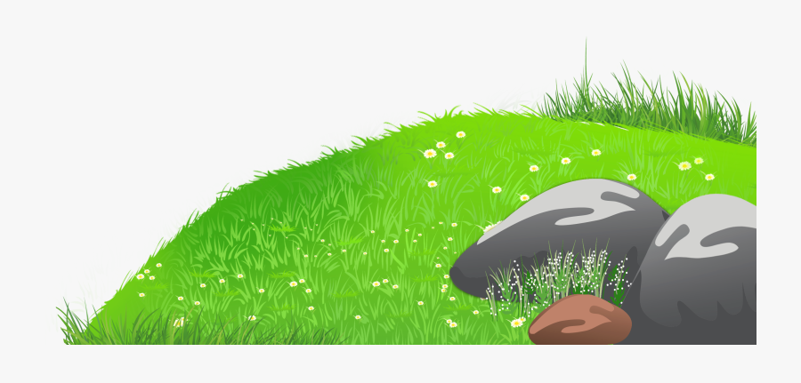 Grass With Stones And Daisies Png Clipart Picture - Hill Clip Art, Transparent Clipart