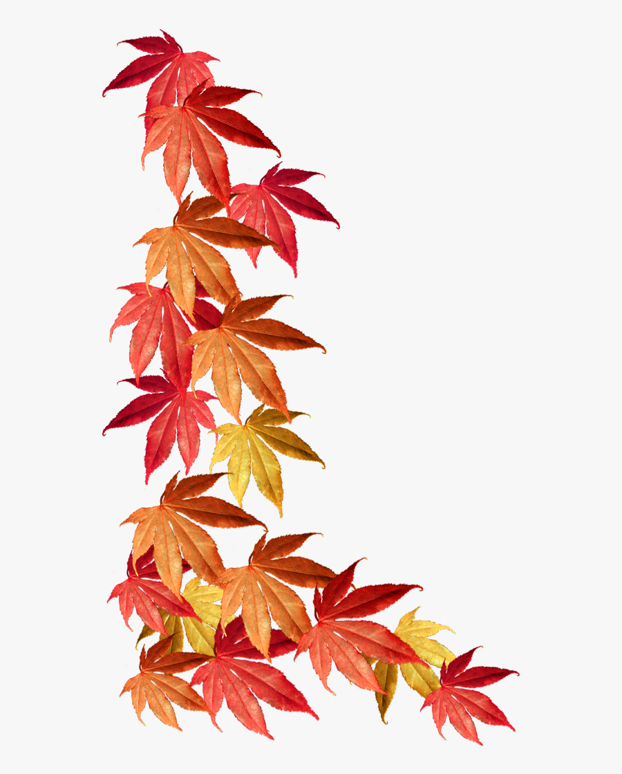 Clip Art Leaf Border Png - Fall Leaves Border Png, Transparent Clipart