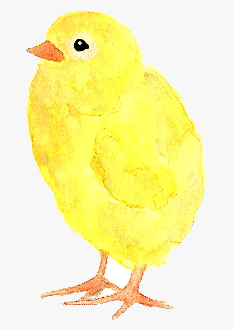 Baby Chick Yellow Easter Clip Art - Canary, Transparent Clipart