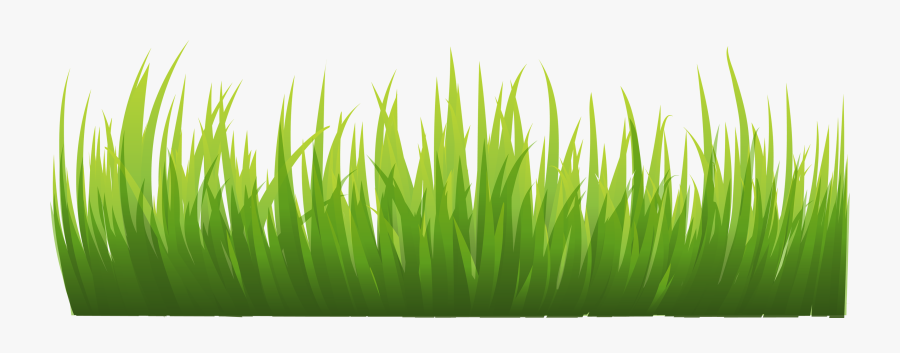 Grass Images Pictures Clipart - Grass Png Background, Transparent Clipart