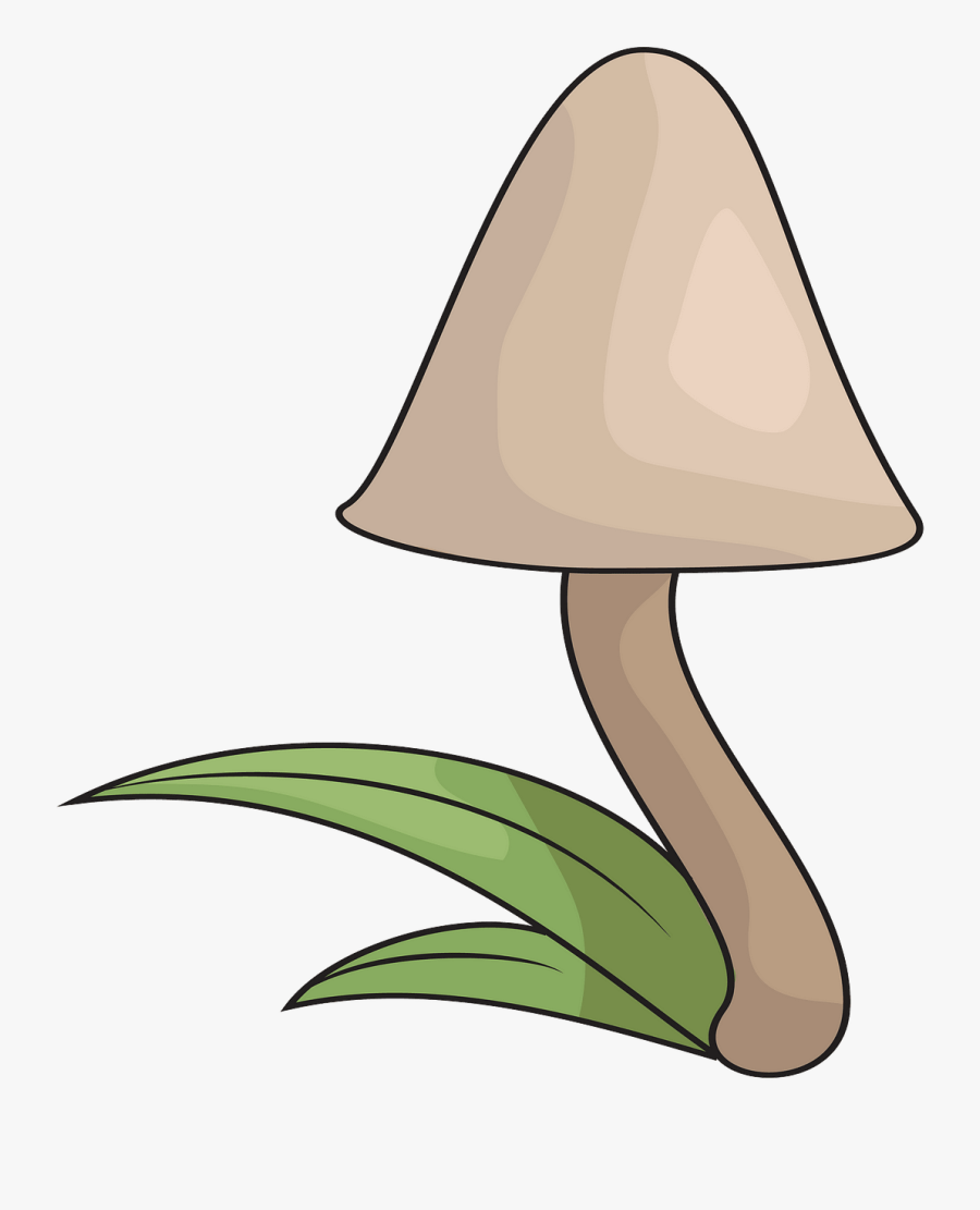 Clip Art, Transparent Clipart