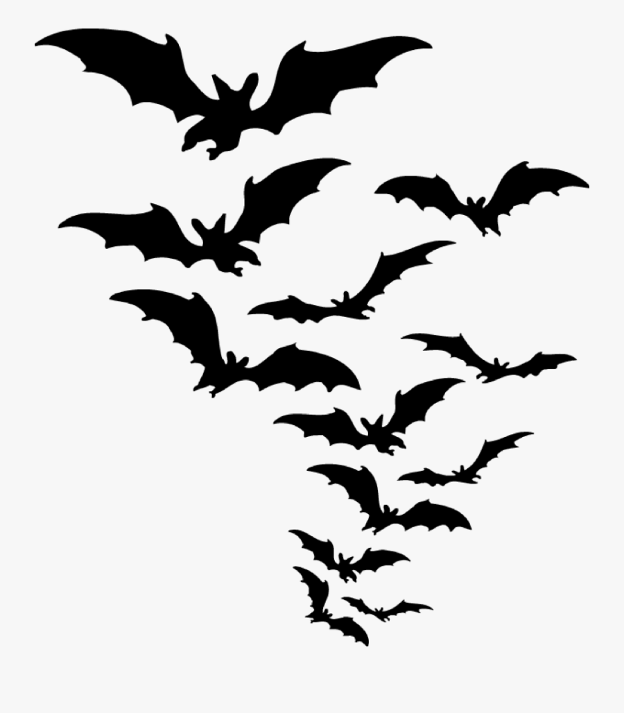 Bats Png, Transparent Clipart