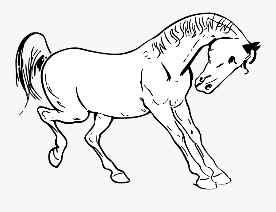 Horse Kicking Coloring Pages, Transparent Clipart