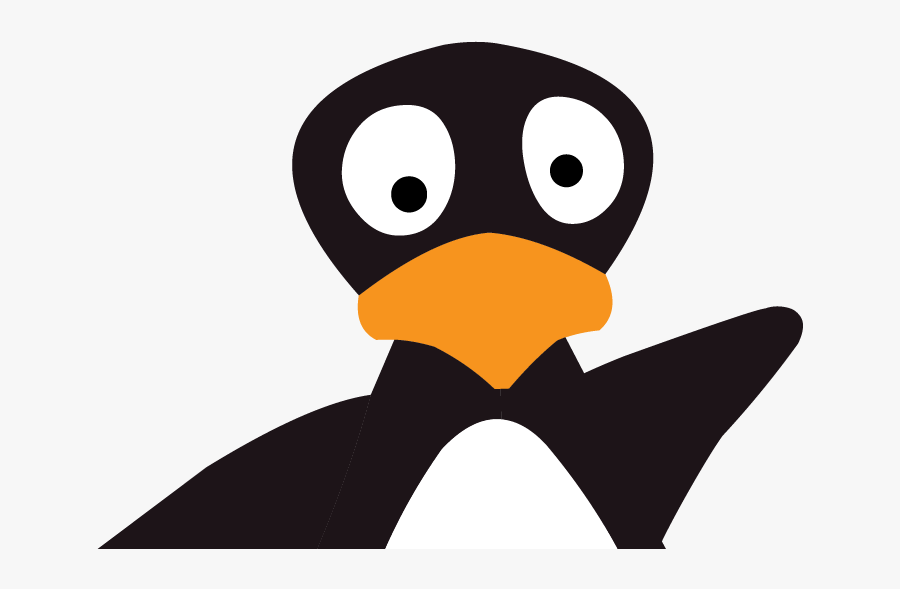 About The Author St Math Jiji , Free Transparent Clipart ClipartKey