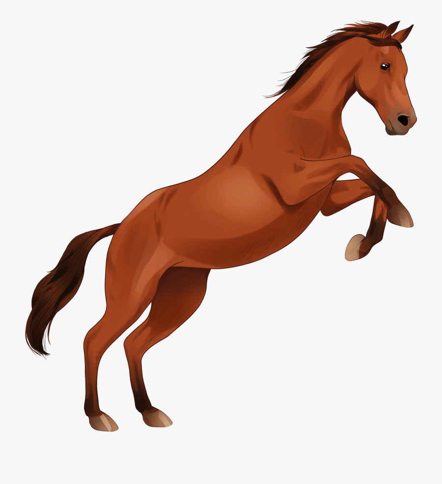 Sorrel, Transparent Clipart