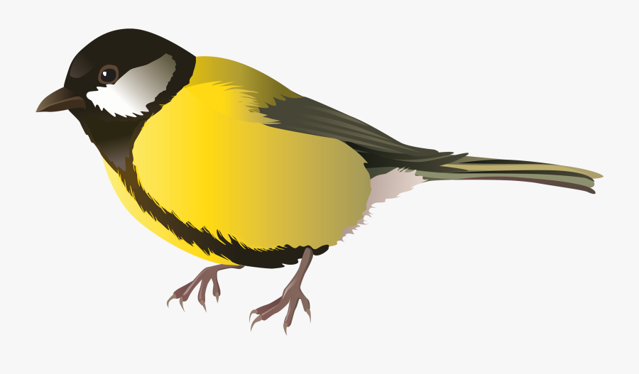 Homely Ideas Bird Clipart Cartoon Bunny Yellow Png - Bird Clipart Png, Transparent Clipart