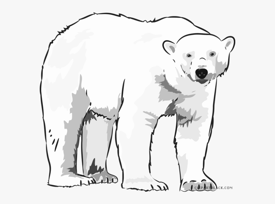 Thumb Image - Polar Bear Black And White, Transparent Clipart