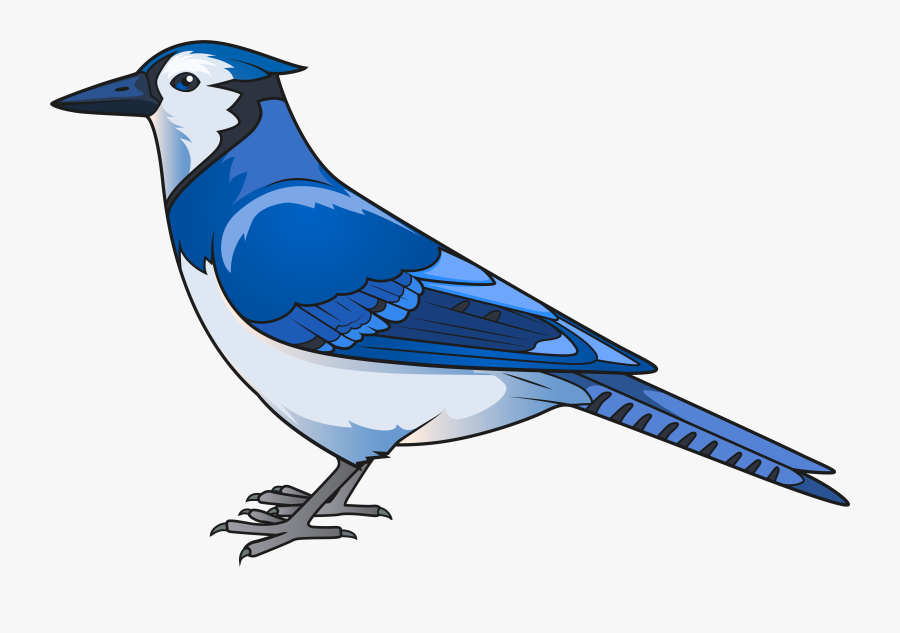 Bird Png Clip - Transparent Background Blue Bird Clipart , Free ...