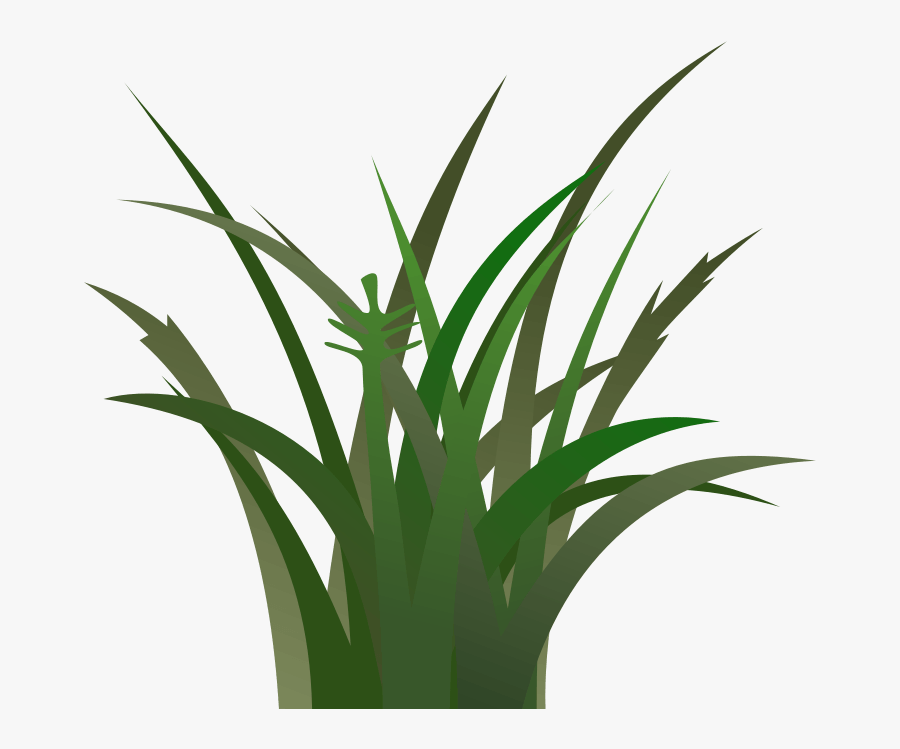 Grass Clipart - Cartoon Tall Grass, Transparent Clipart