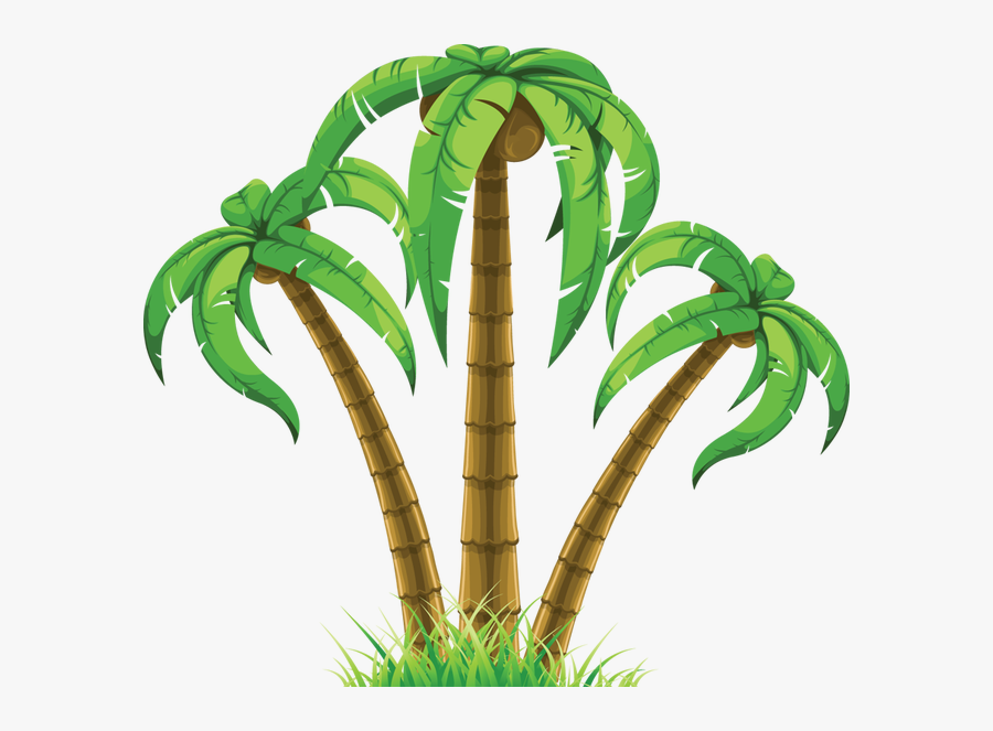 Transparent Background Palm Tree Clipart Png, Transparent Clipart