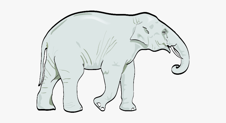 Elephant - Clipart - Indian Elephant, Transparent Clipart
