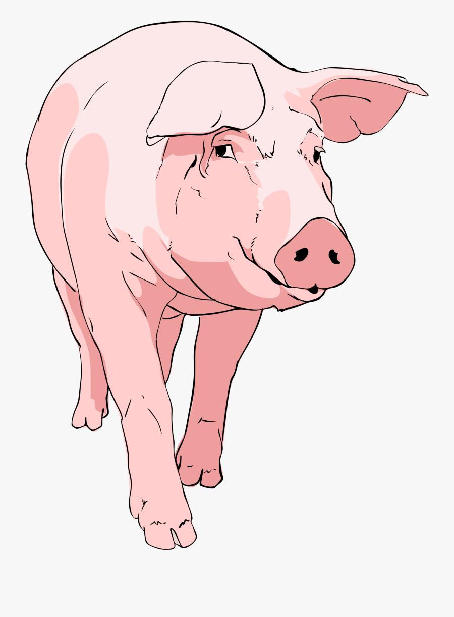 Clipart Pig, Transparent Clipart
