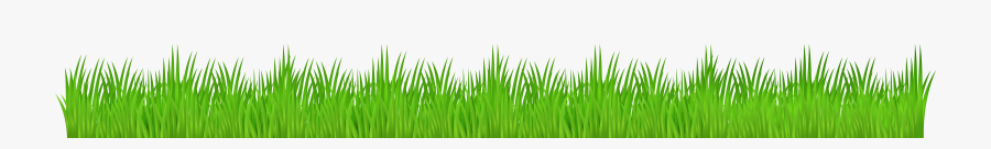 Grass Png, Transparent Clipart