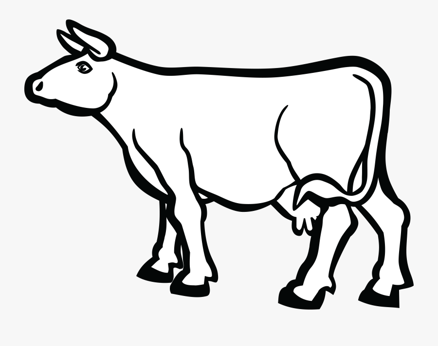 Transparent Baby Cow Png - Cow Clipart Black And White Png, Transparent Clipart