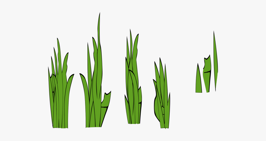 Grass Clip Art, Transparent Clipart