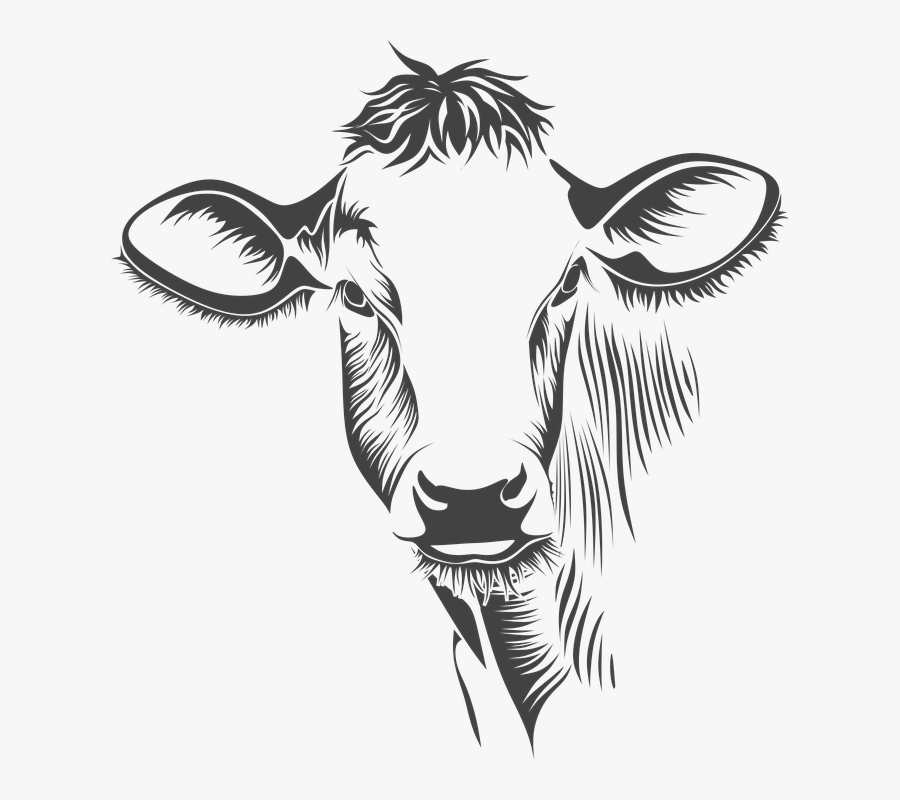 Transparent Cow Clipart Black And White - Cow Face Line Art, Transparent Clipart