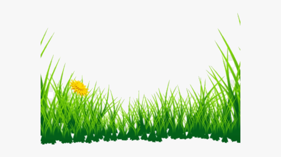 Grass Clipart Boarder Green Transparent Png - Background Picsart Grass Png, Transparent Clipart