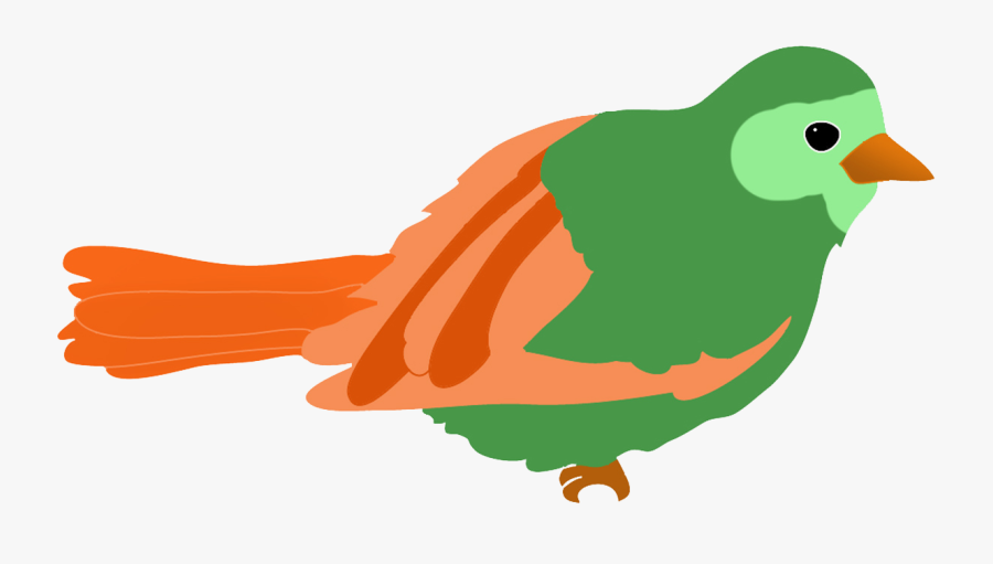 Colorful Drawings Of Birds - Bird Kindergarten Clipart, Transparent Clipart