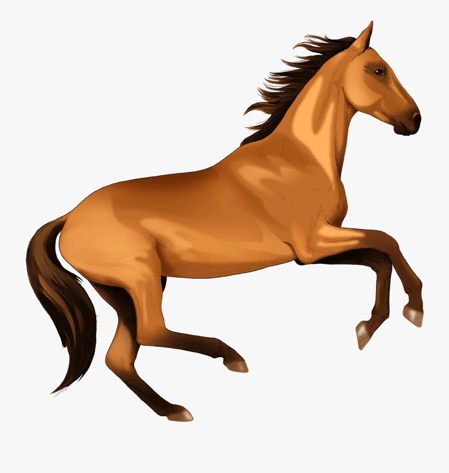 Stallion, Transparent Clipart