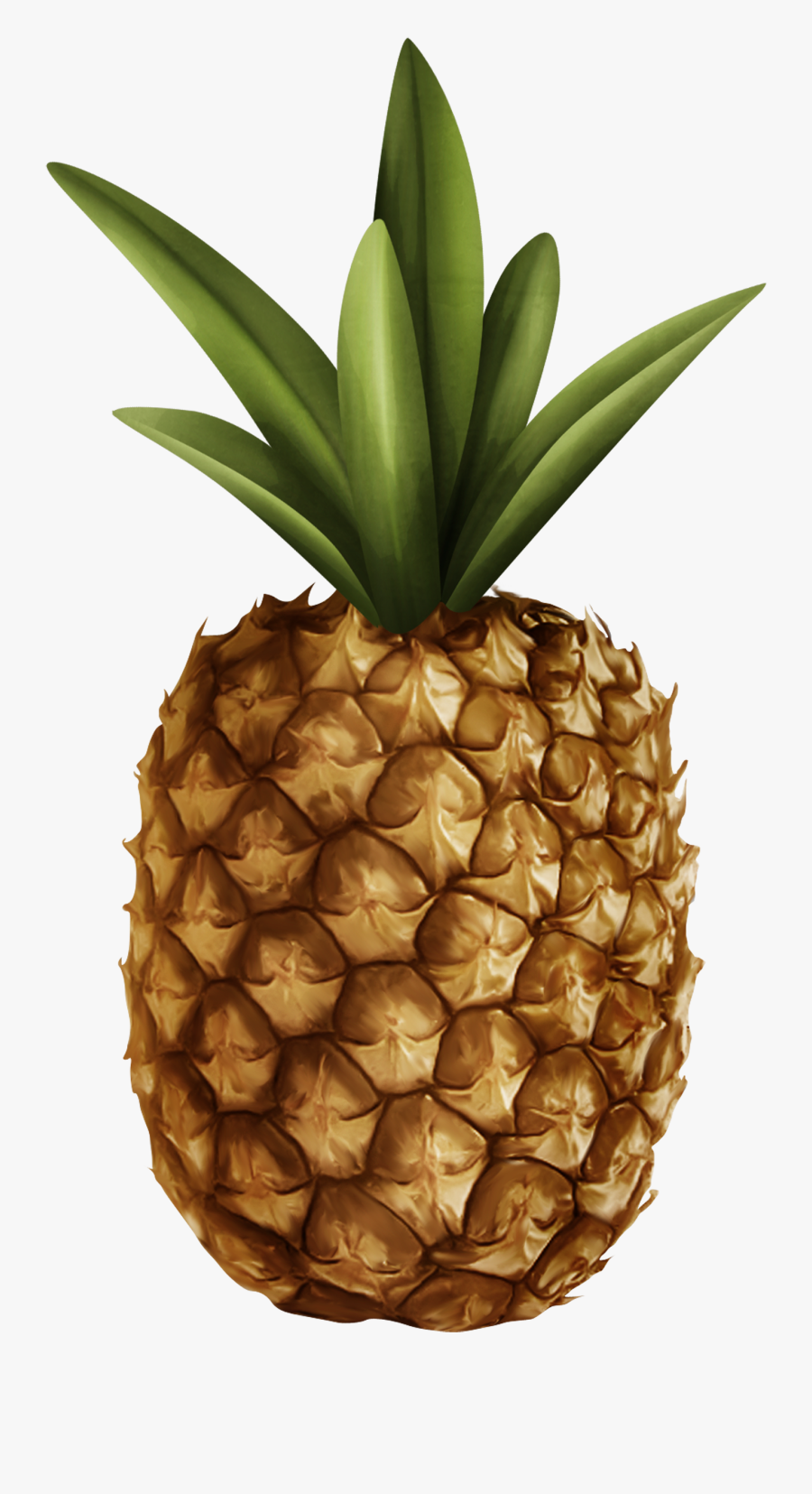 Pineapple Clipart Web - Pineapple, Transparent Clipart