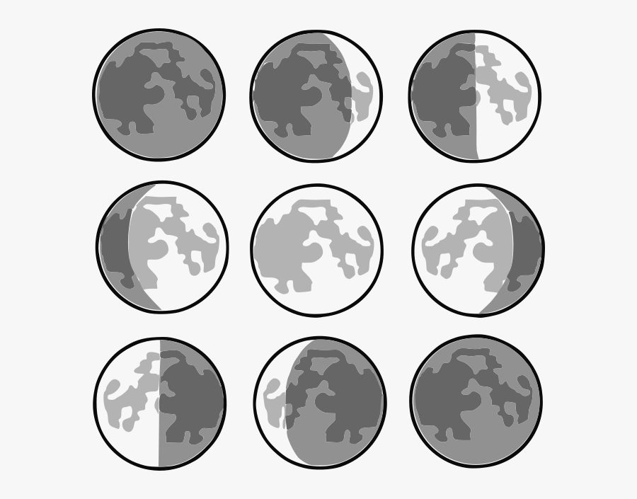 8 Phases Of The Moon Clipart , Png Download - Different Shapes Of The Moon You See, Transparent Clipart