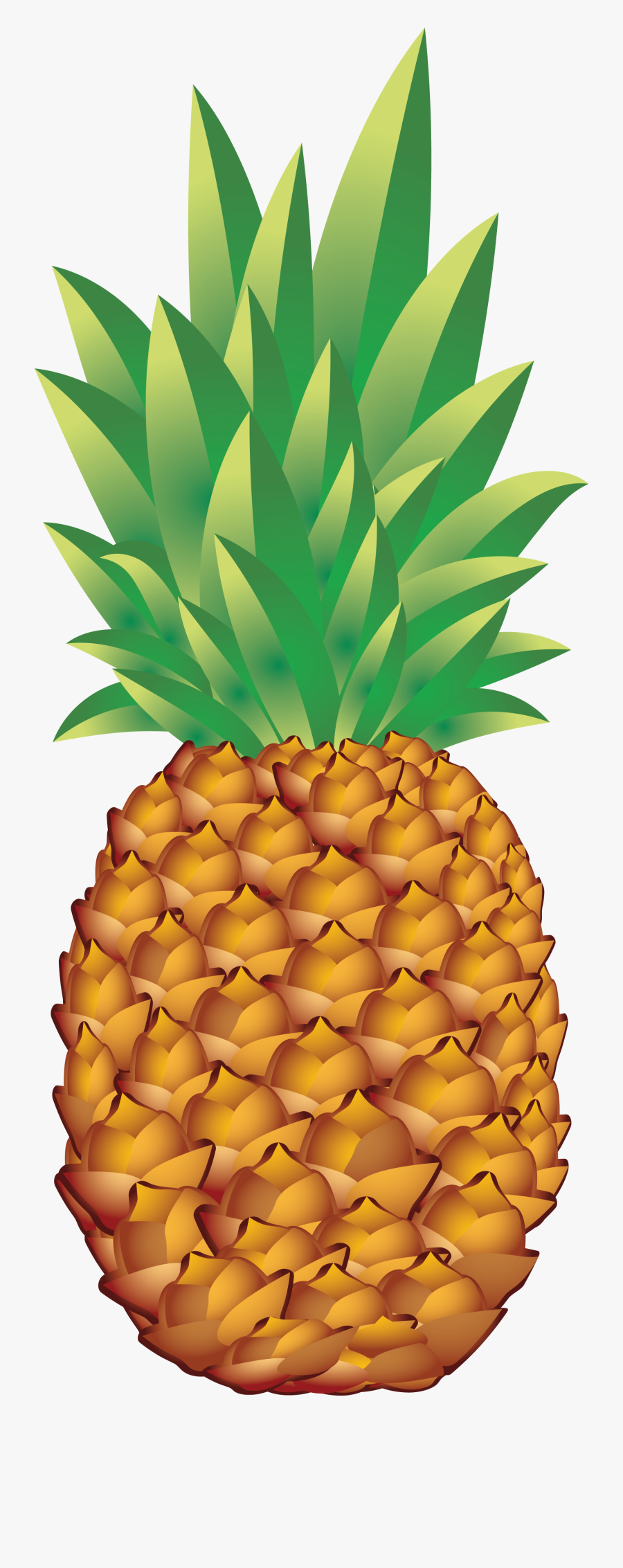 Pineapple Clipart Transparent Background, Transparent Clipart