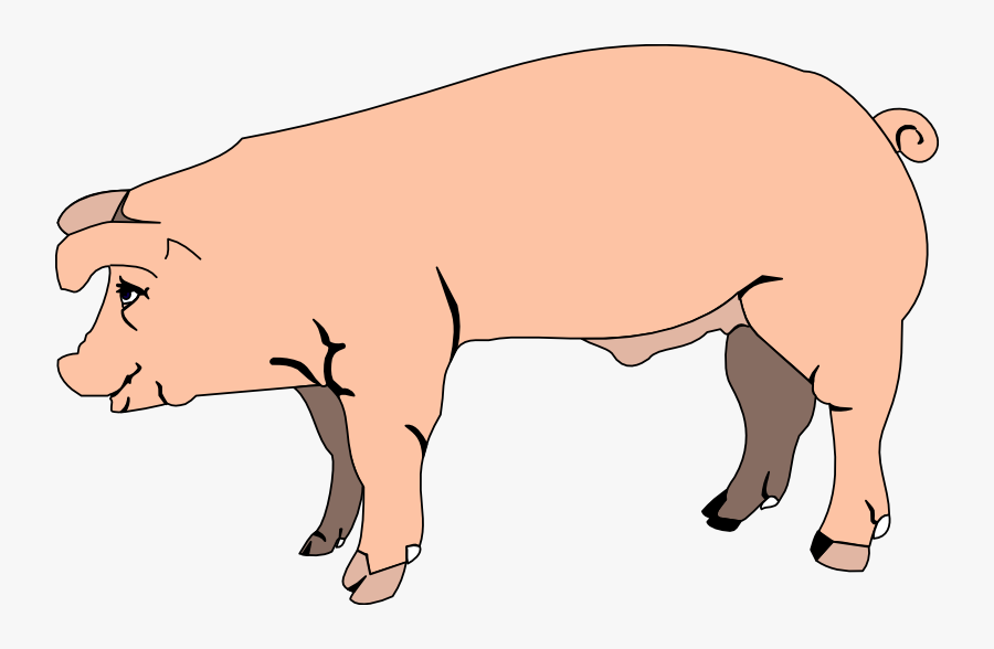 Pig Free To Use Cliparts 2 - Clipart Pig With Transparent Background, Transparent Clipart