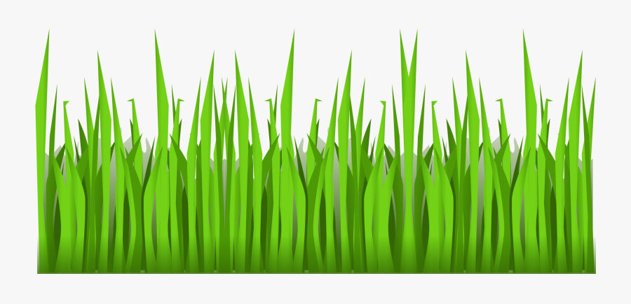 Vector Design Of Bright Green Grass - Cartoon Grass With Transparent Background, Transparent Clipart