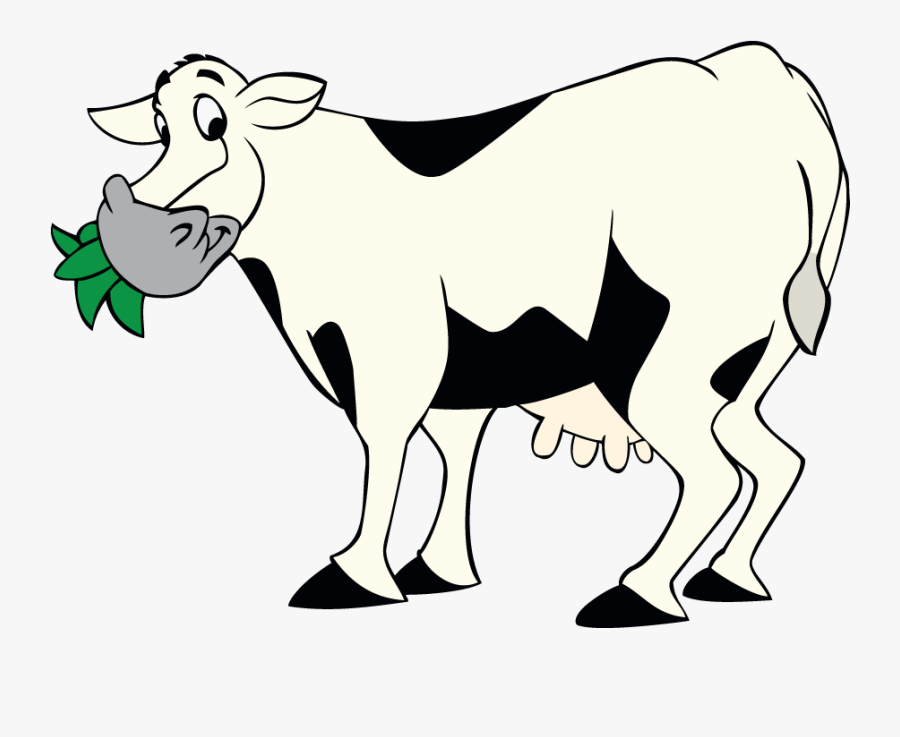 Cow Chewing Grass, Transparent Clipart